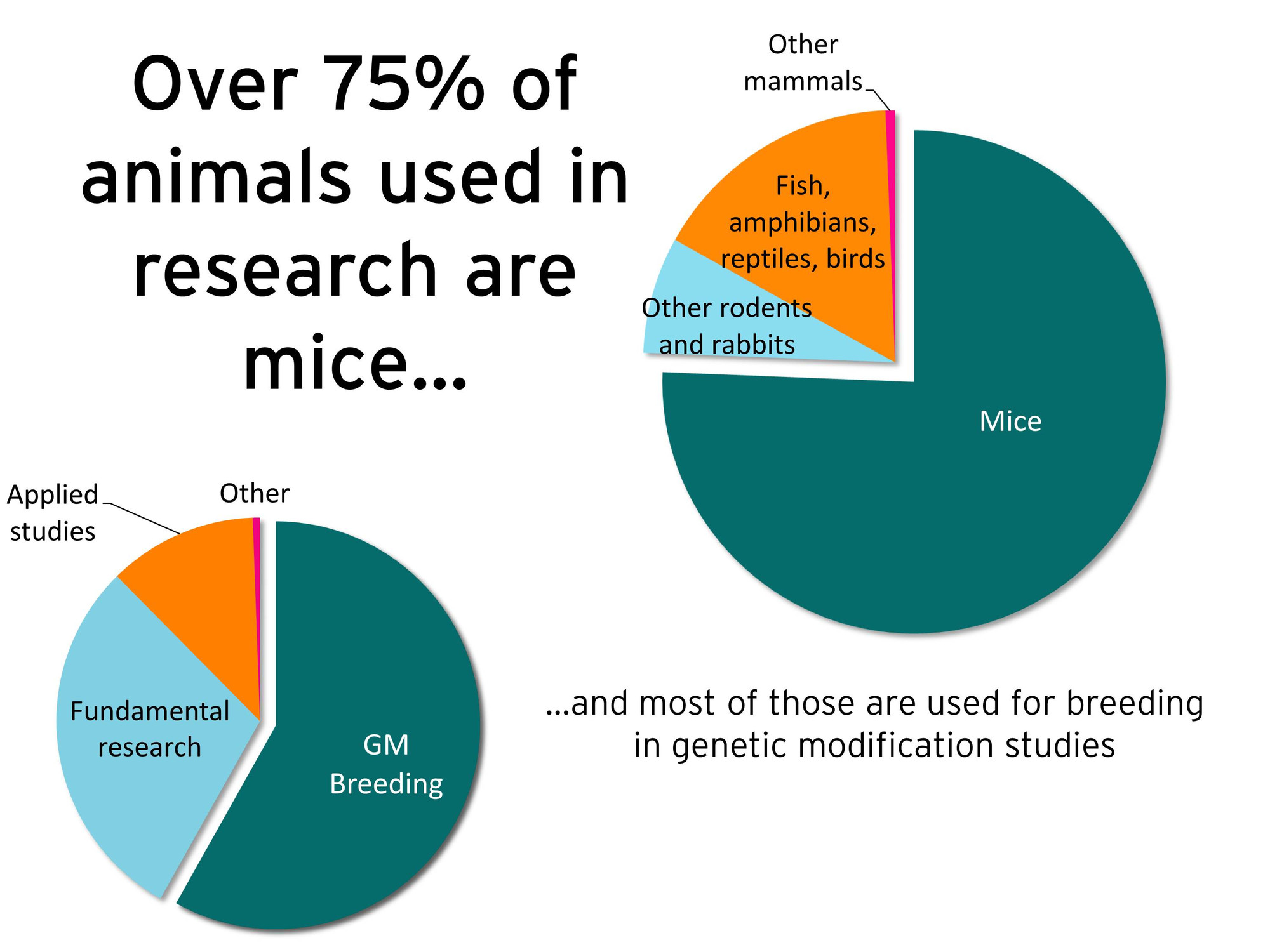 Animal Testing; Bad Science | Deakin Communicating Science 2016